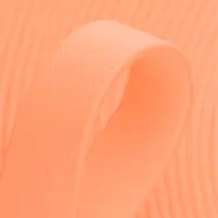 Pastel Peach