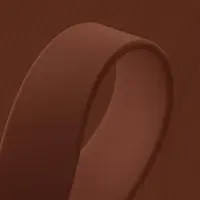 Saddle Braun